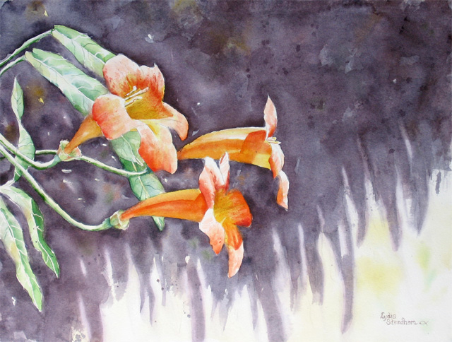 Cross Vine of Mine