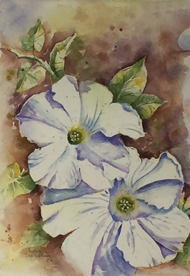 White Petunia I